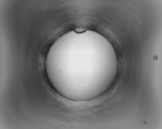 X0000102020038200808011434
