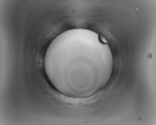 X0000102020039200808011434