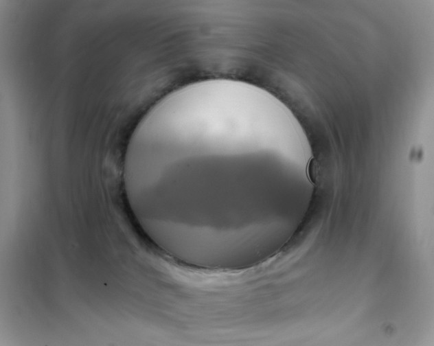 X0000102020040200808011434