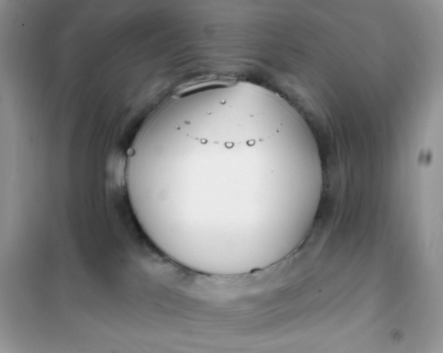 X0000102020041200808011434