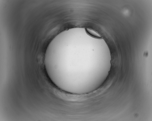 X0000102020044200808011434