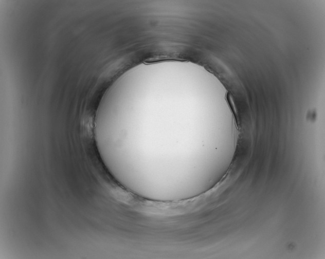X0000102020045200808011434