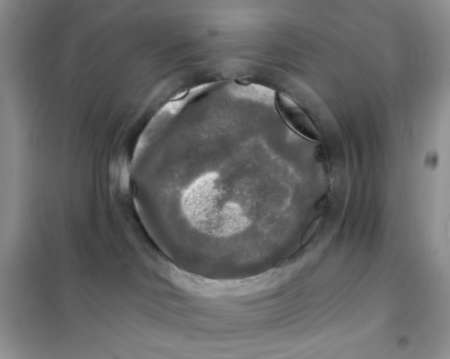 X0000102020046200808011434