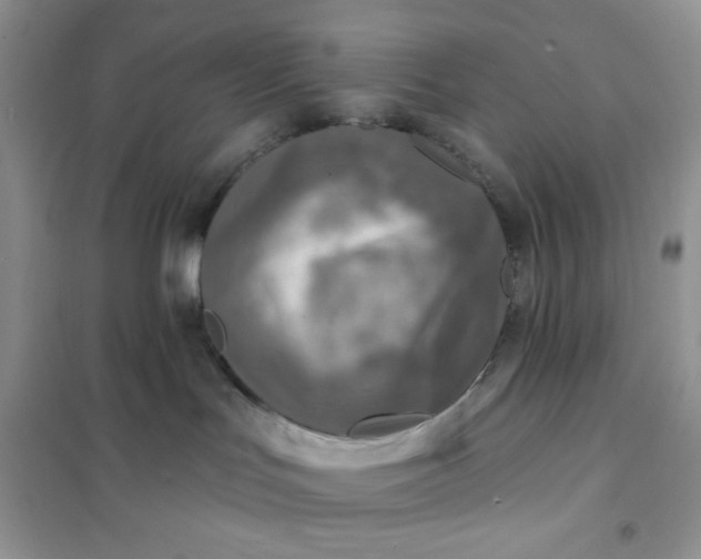 X0000102020047200808011434