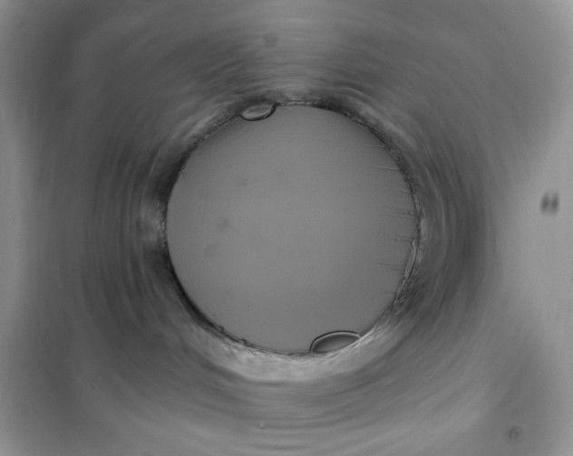 X0000102020048200808011434