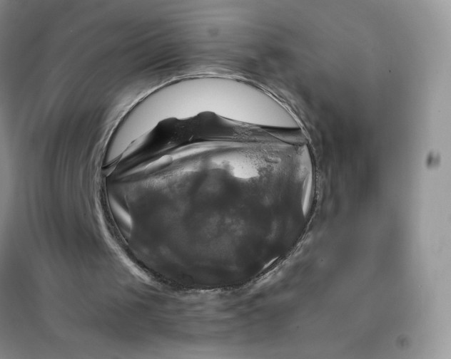 X0000102020049200808011433