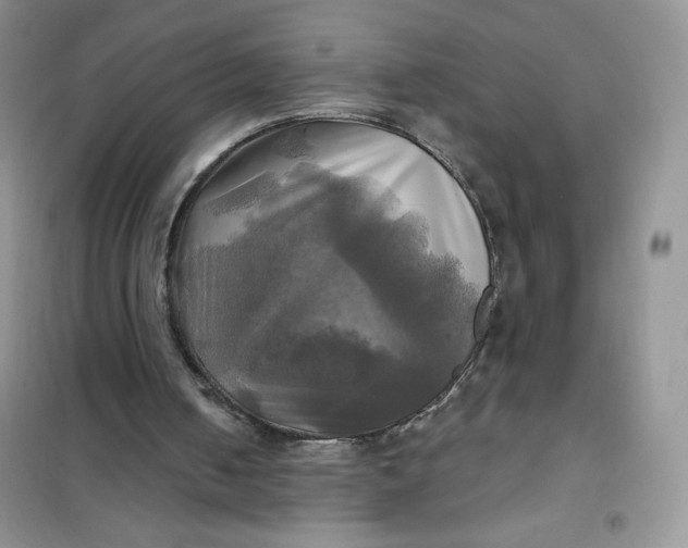 X0000102020050200808011433