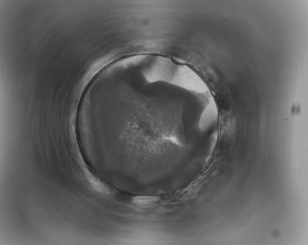 X0000102020051200808011433