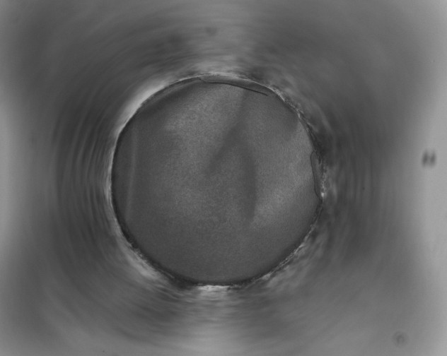 X0000102020052200808011433