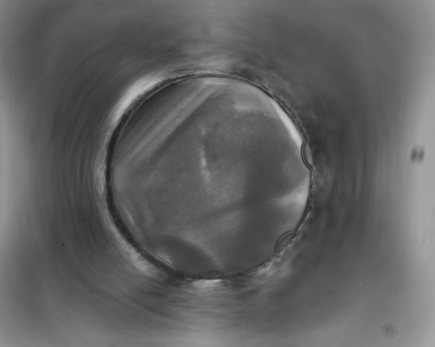 X0000102020054200808011433
