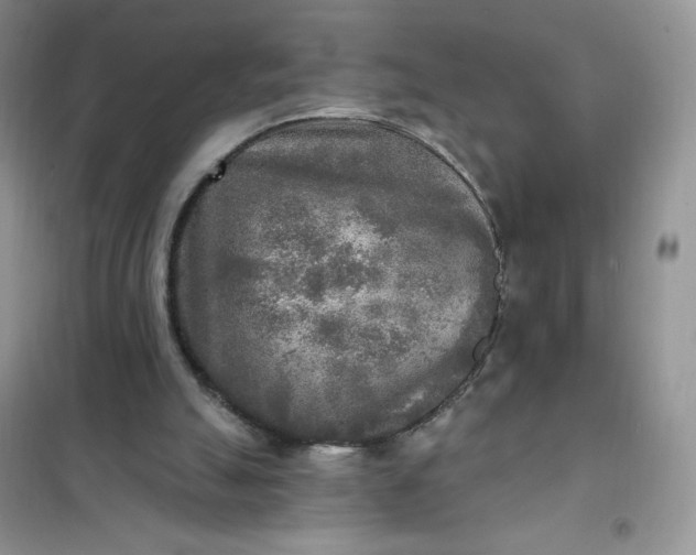 X0000102020055200808011433