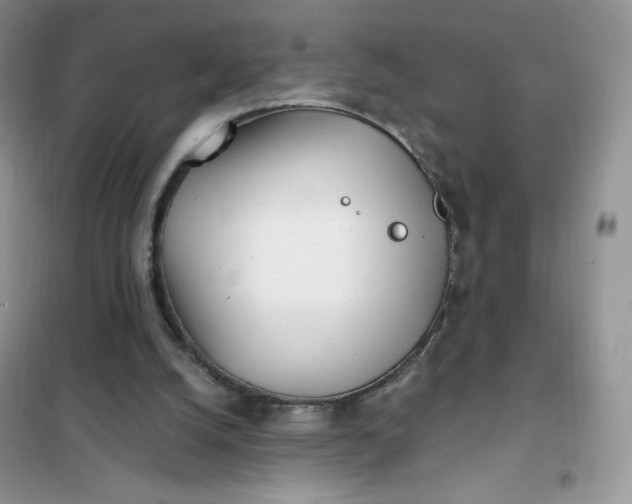 X0000102020056200808011434
