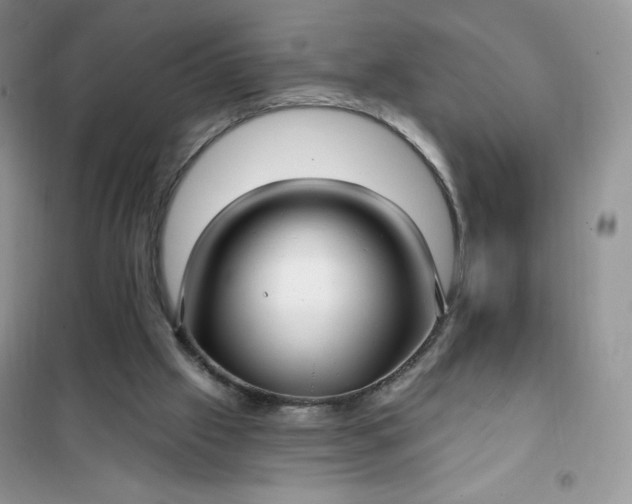 X0000102020057200808011434