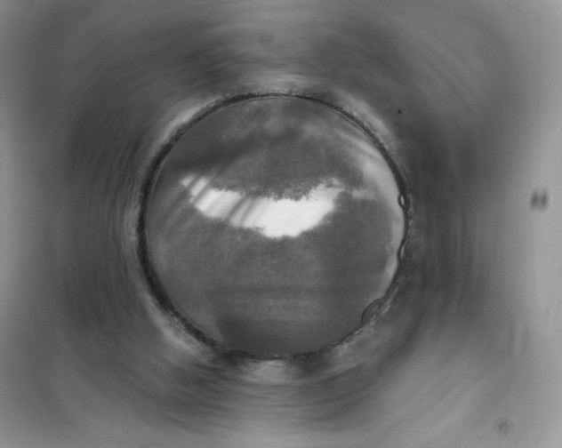 X0000102020058200808011434