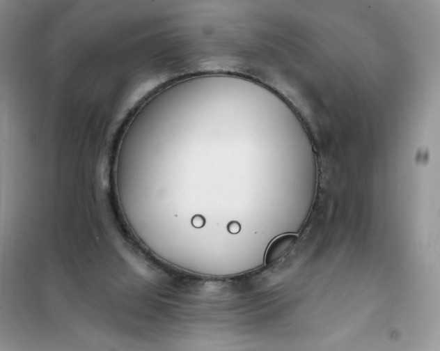 X0000102020060200808011434