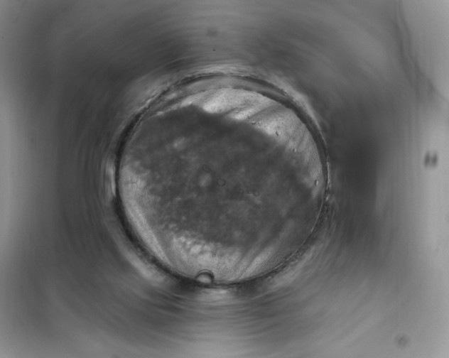 X0000102020061200808011434
