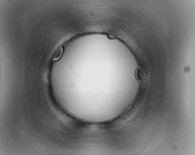 X0000102020064200808011434
