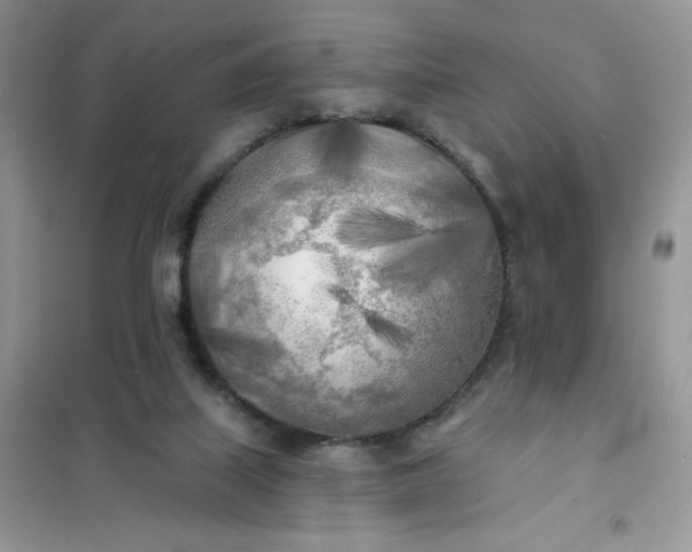 X0000102020067200808011434