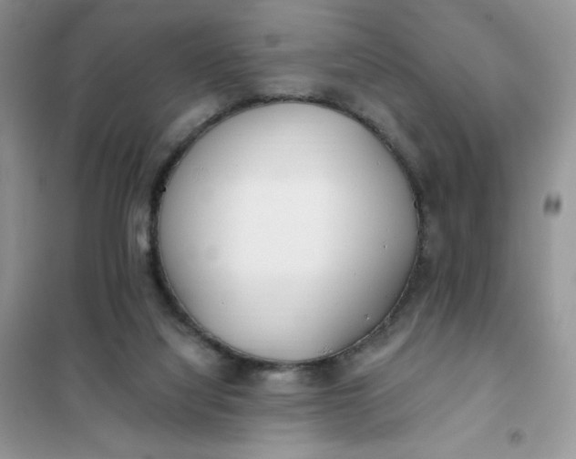 X0000102020068200808011434