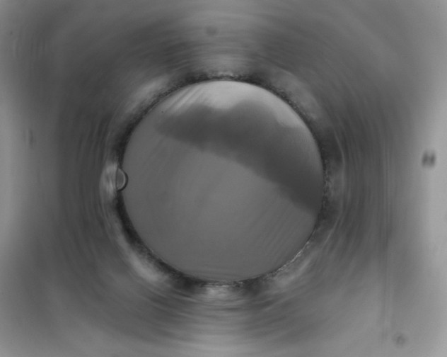 X0000102020070200808011434