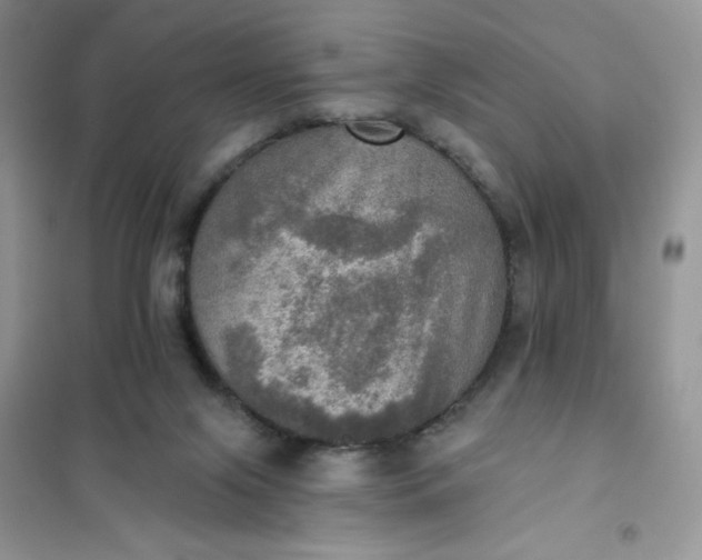 X0000102020071200808011434