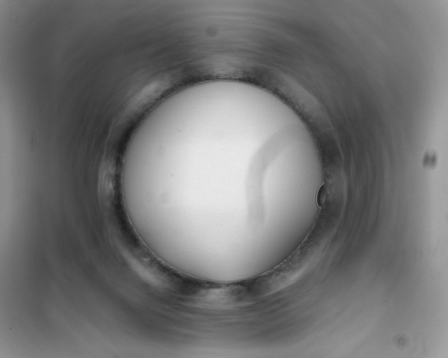 X0000102020072200808011434