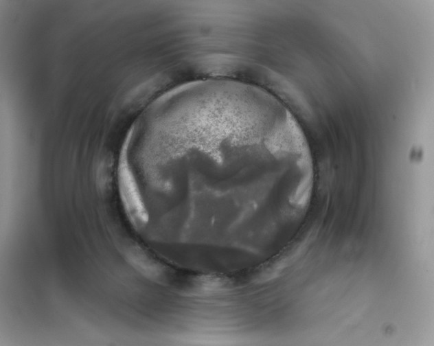 X0000102020073200808011434