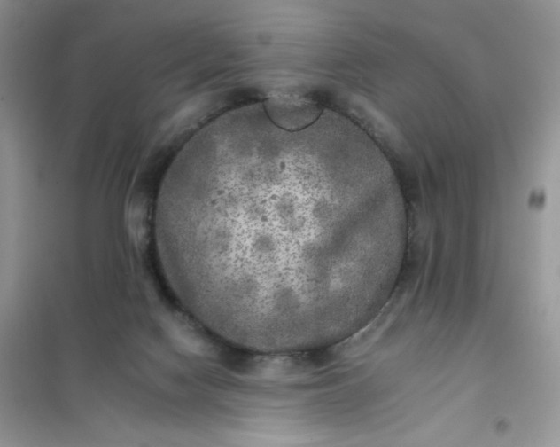 X0000102020074200808011434
