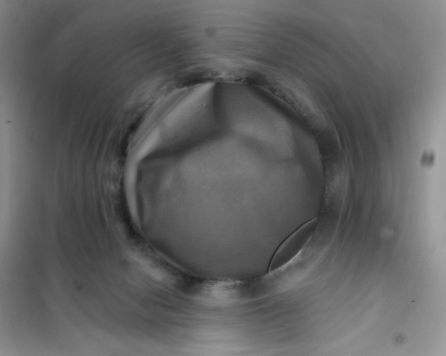 X0000102020078200808011434