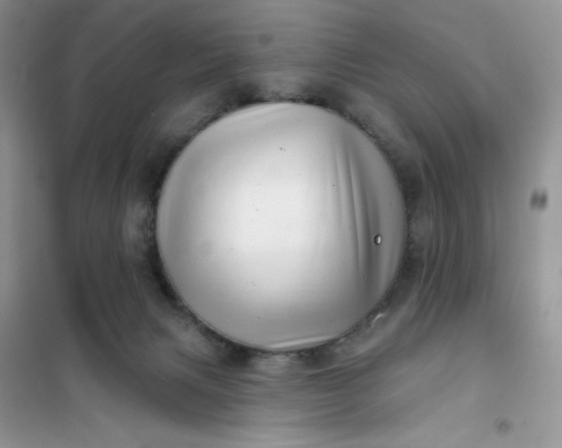 X0000102020079200808011434