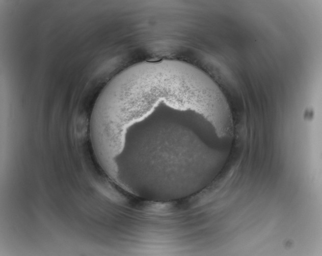 X0000102020081200808011434