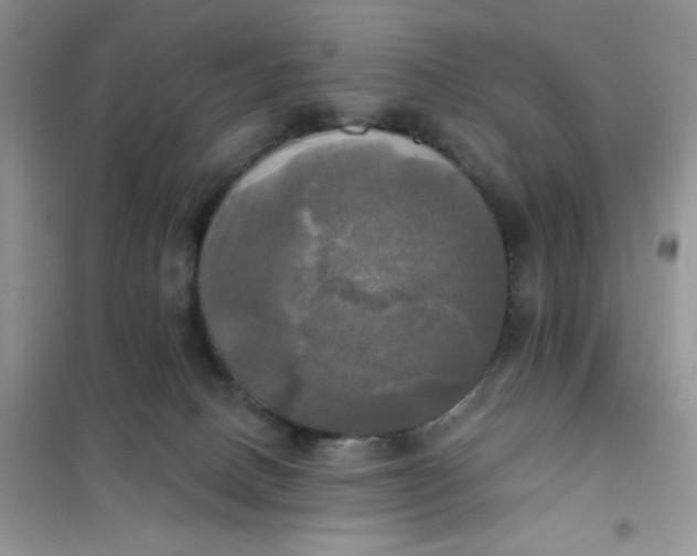X0000102020082200808011434