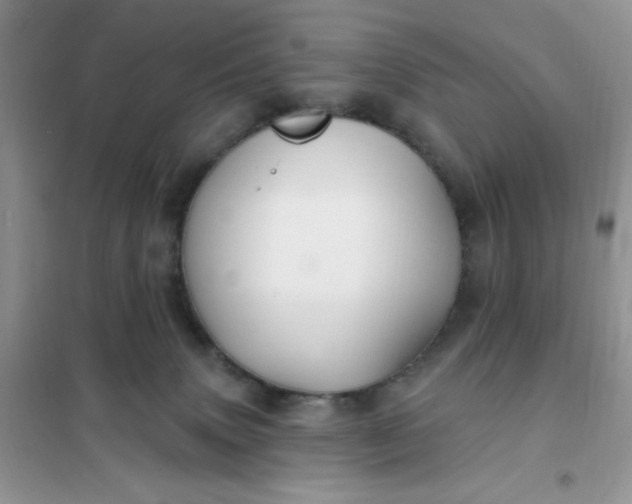 X0000102020083200808011434