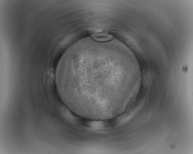 X0000102020085200808011434