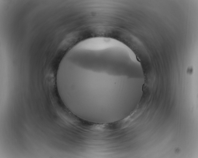X0000102020086200808011434