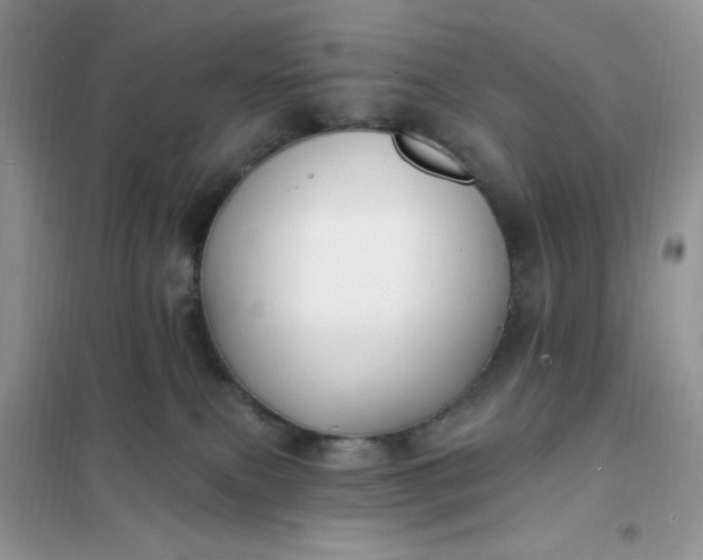 X0000102020087200808011434
