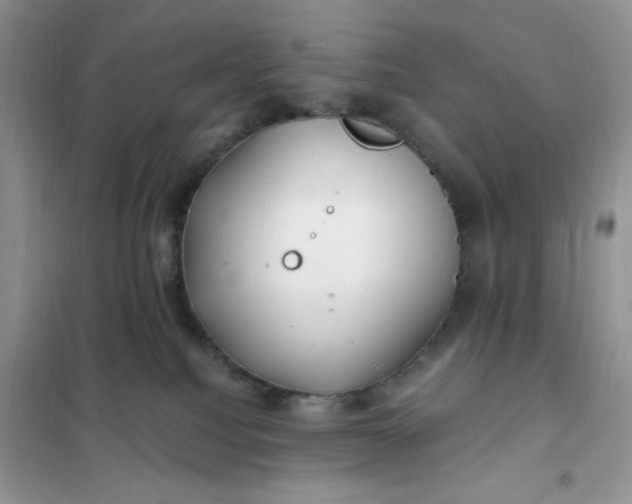 X0000102020088200808011434