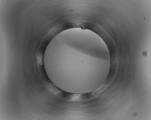 X0000102020090200808011434