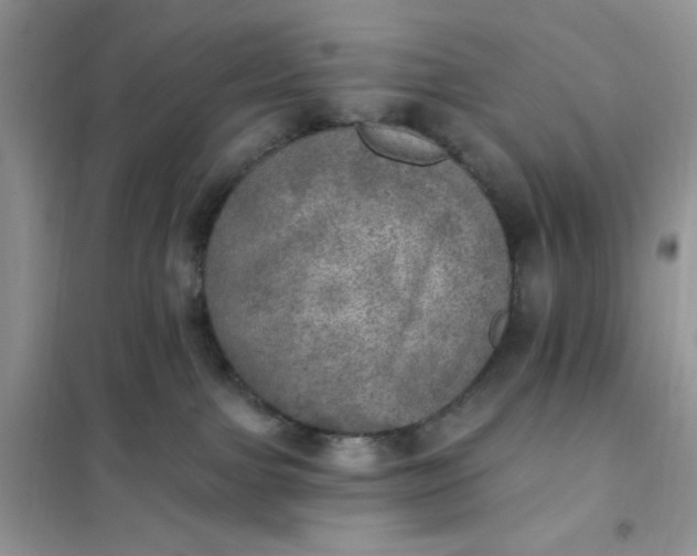 X0000102020091200808011434