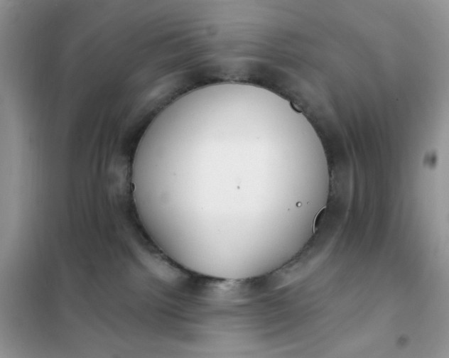 X0000102020092200808011434