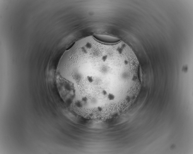 X0000102020093200808011434