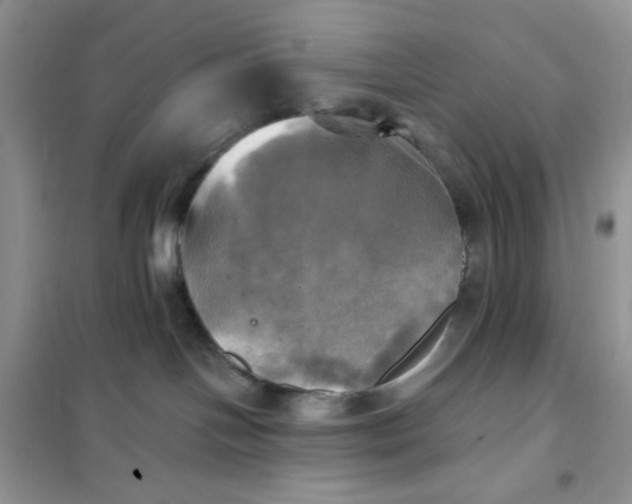 X0000102020094200808011434