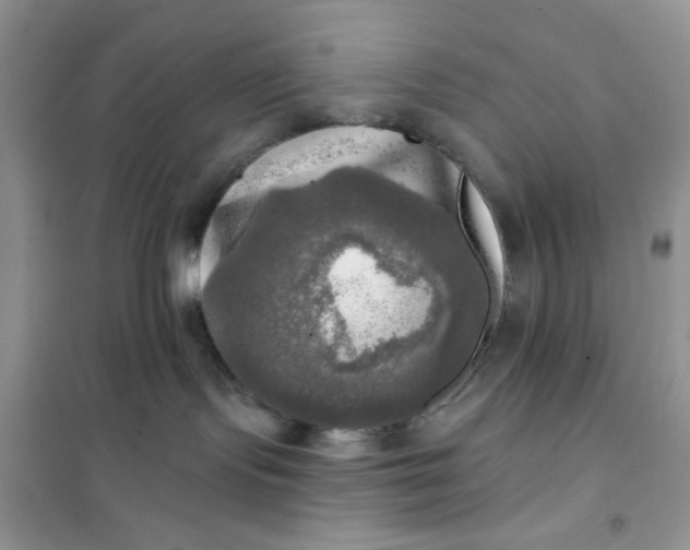 X0000102020095200808011434