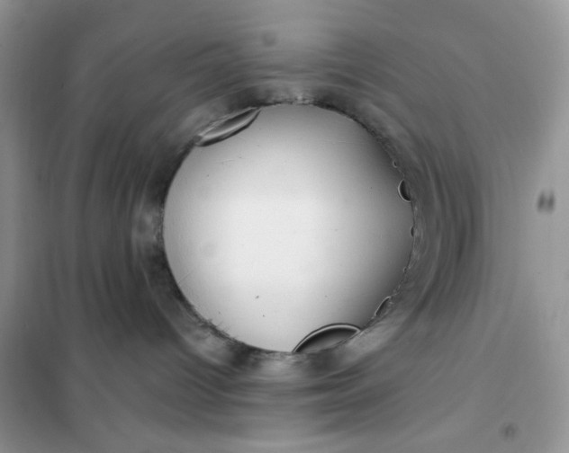 X0000102020096200808011434