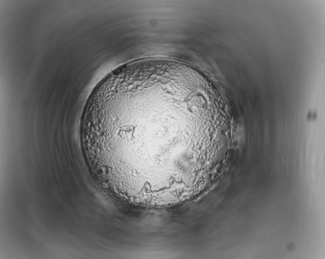 X0000102020099200808011433