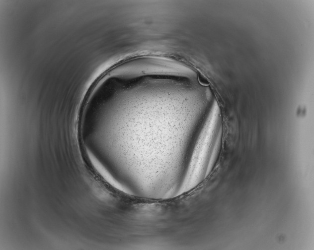 X0000102020100200808011433