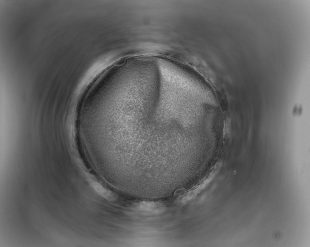 X0000102020101200808011433