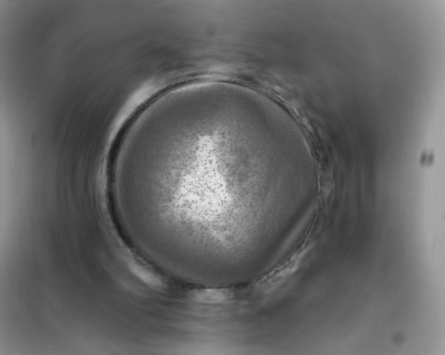 X0000102020102200808011433