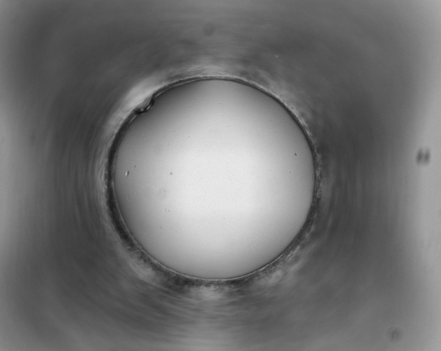 X0000102020103200808011433