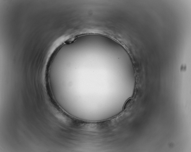 X0000102020104200808011433